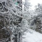 Nieve en O Cebreiro