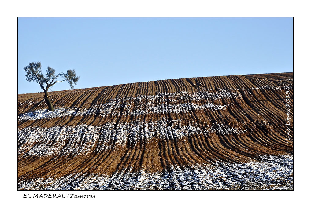 NIEVE EN PRIMAVERA