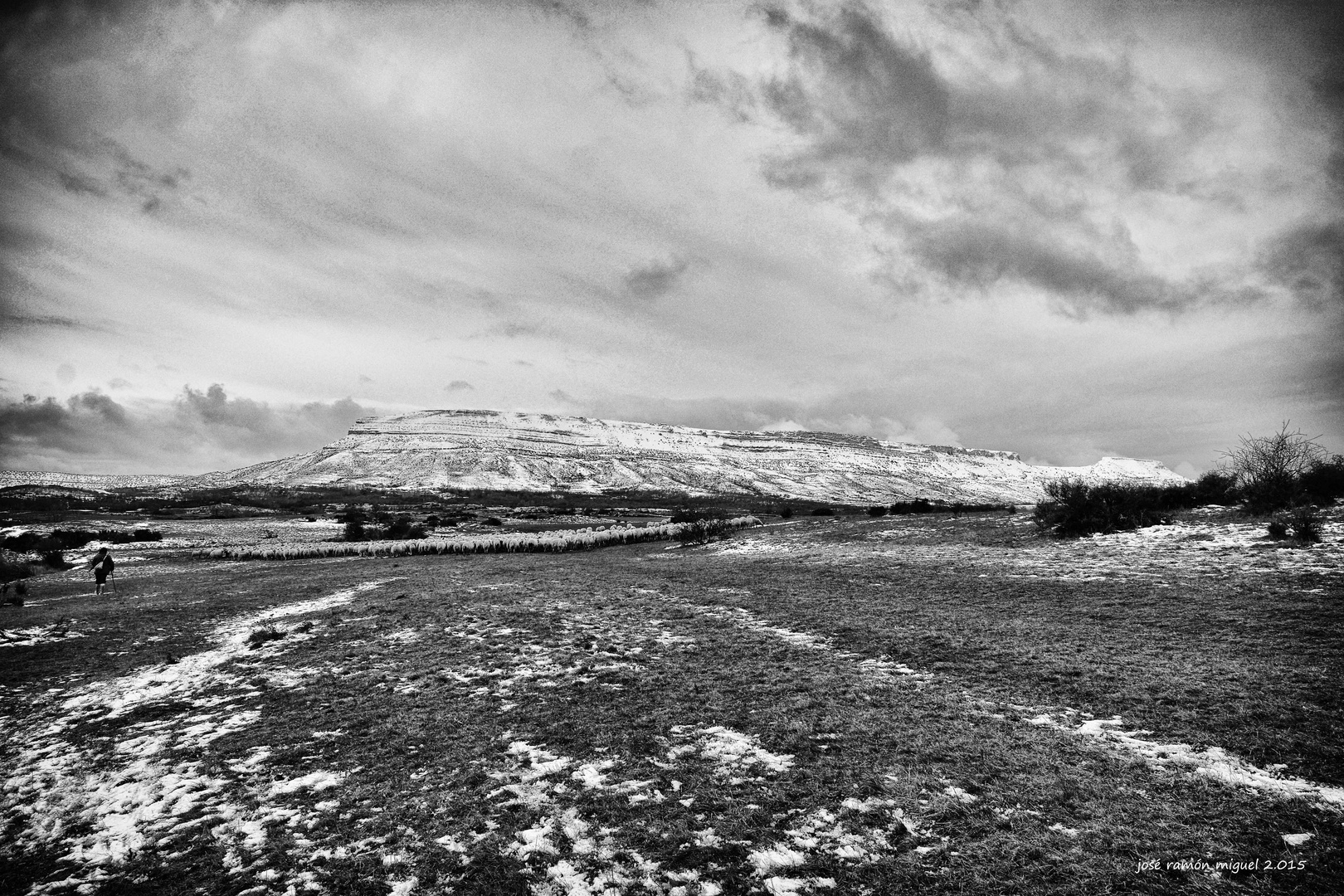 Nieve para el rebaño