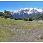 Nieve y bosques, Cotos, Madrid. Pano (3 Img.) I