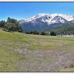 Nieve y bosques, Cotos, Madrid. Pano (3 Img.) I