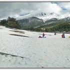 Nieve y bosques, Cotos (nevado), Madrid. Pano (2 Img.) II