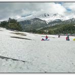 Nieve y bosques, Cotos (nevado), Madrid. Pano (2 Img.) II