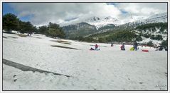 Nieve y bosques, Cotos (nevado), Madrid. Pano (2 Img.) II