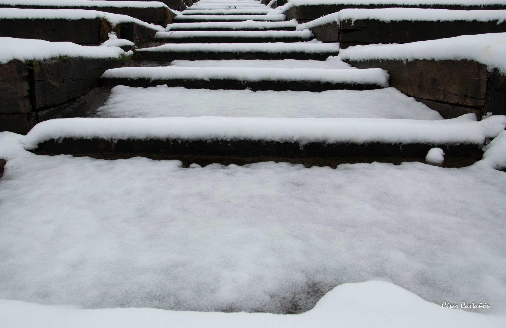 Nieve y madera