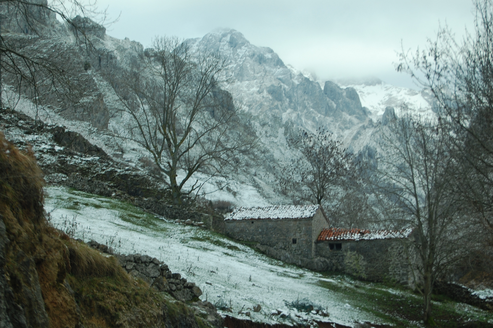 Nieve y silencio