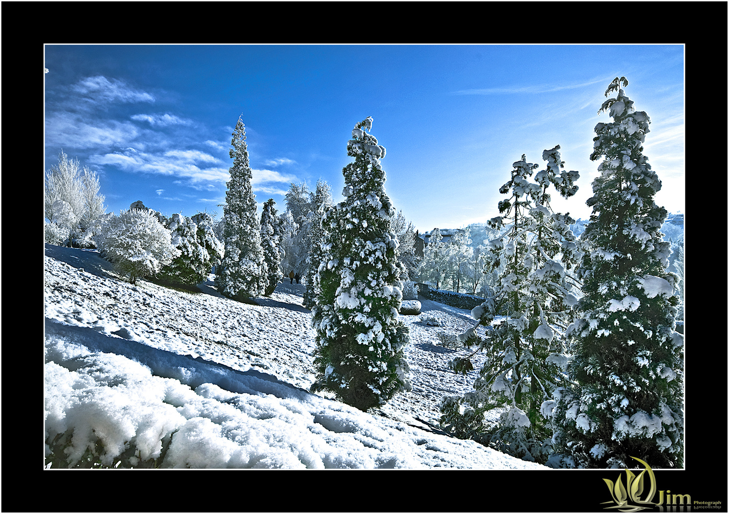 Nieves de Enero II