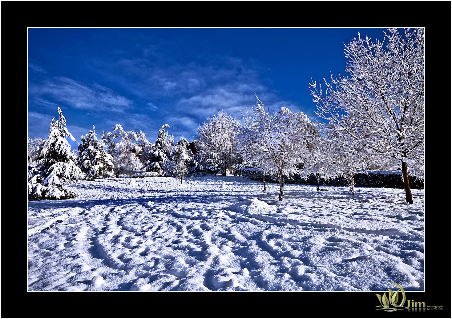 Nieves de Enero III