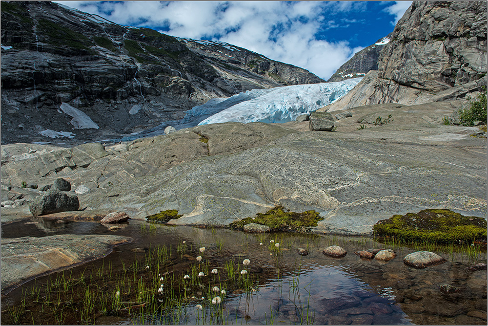 Nigardsbreen