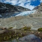 Nigardsbreen