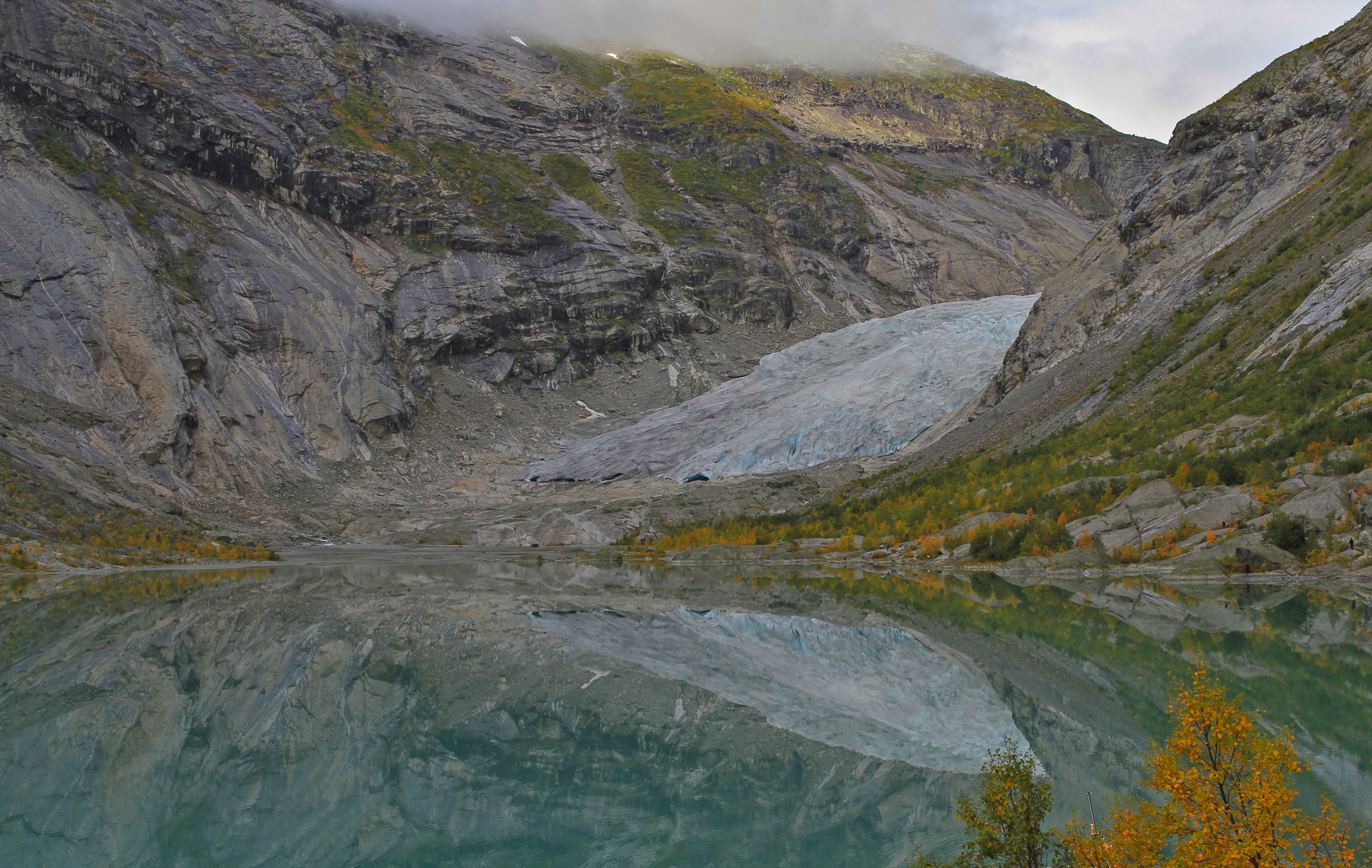 Nigardsbreen