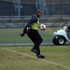 Nigel de Jong (HSV)