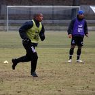 NIgel de Jong und Mehdi (HSV)