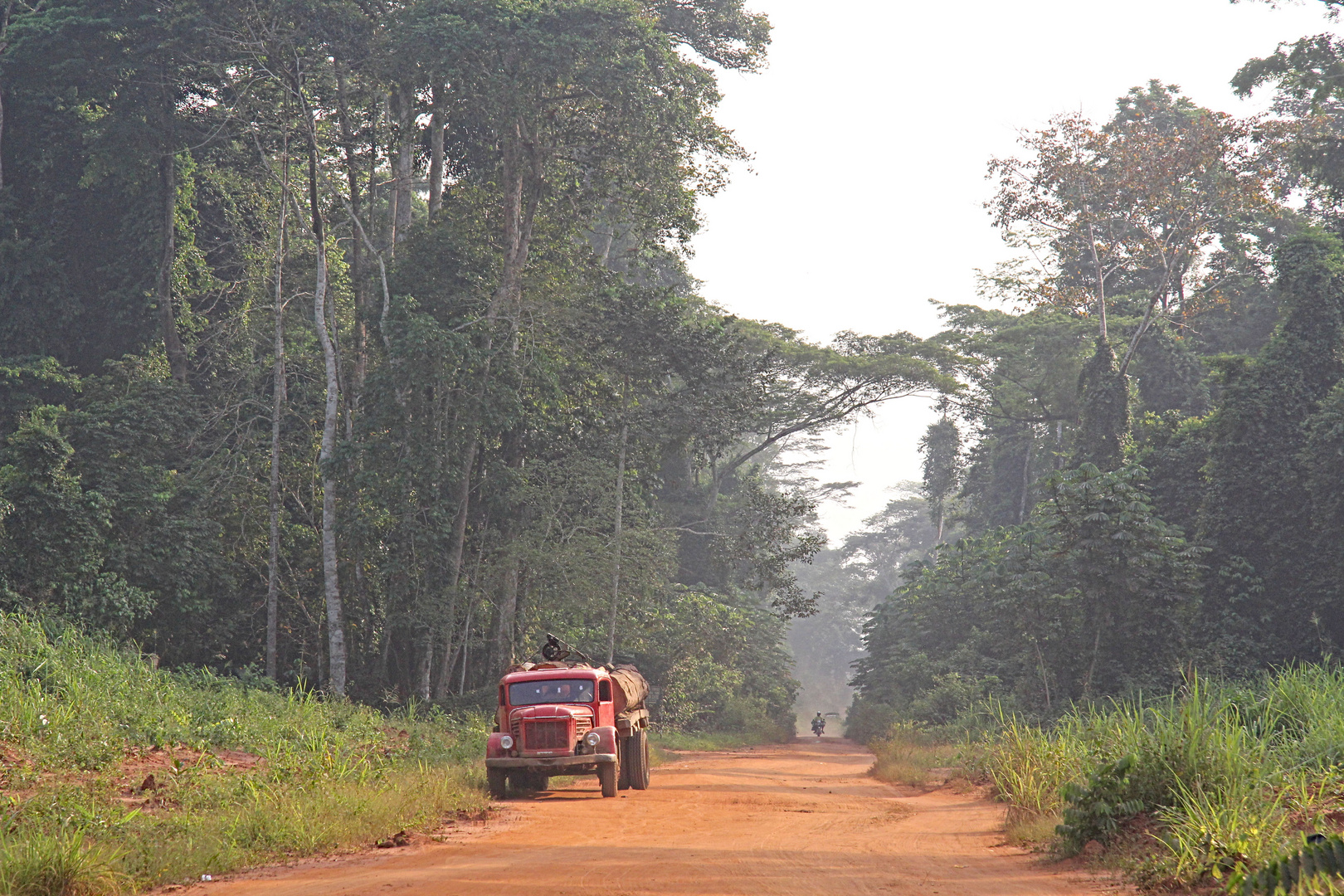 Nigeria / next to Benin City in the bushes / bush road