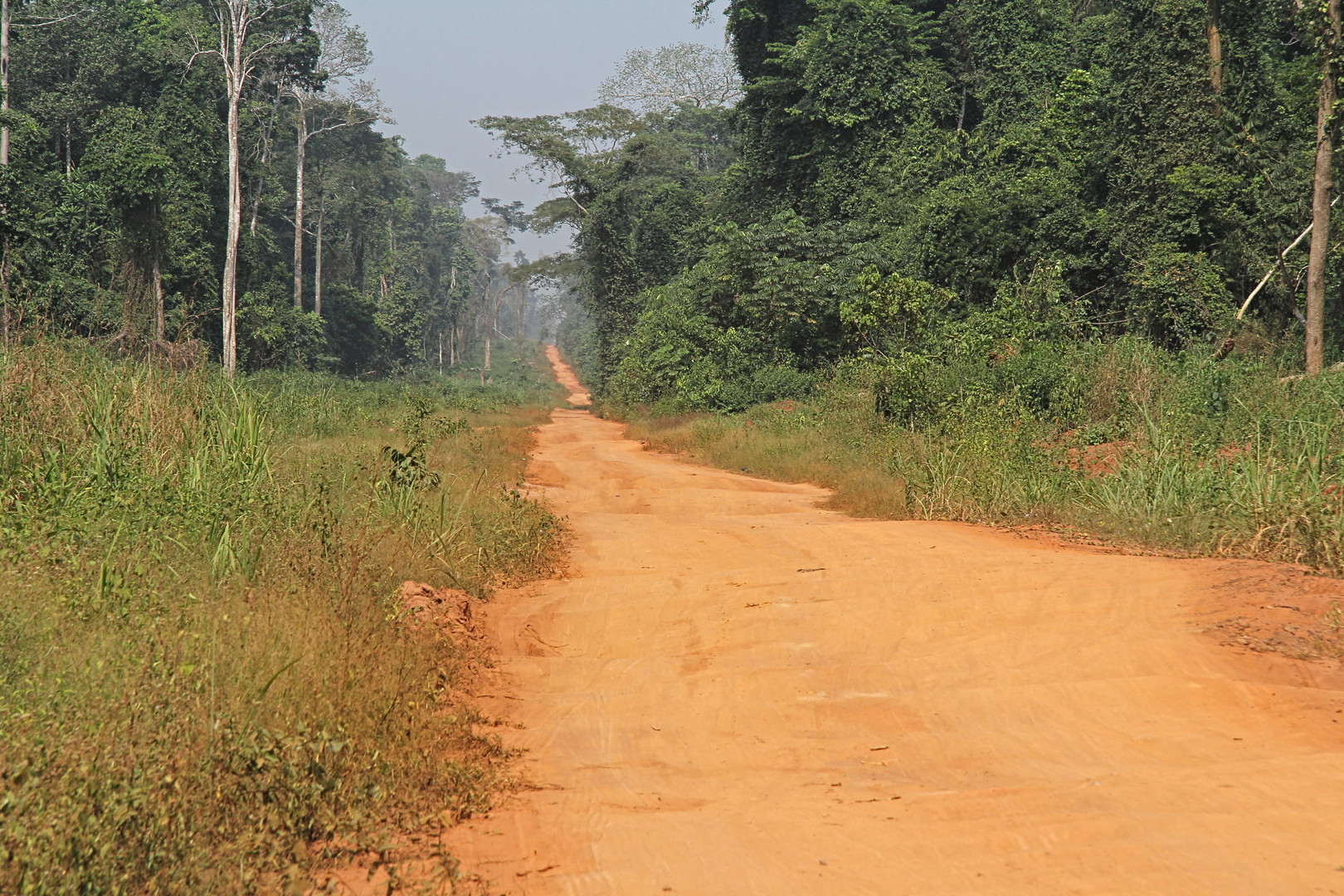 Nigeria / next to Benin City in the bushes / bush road