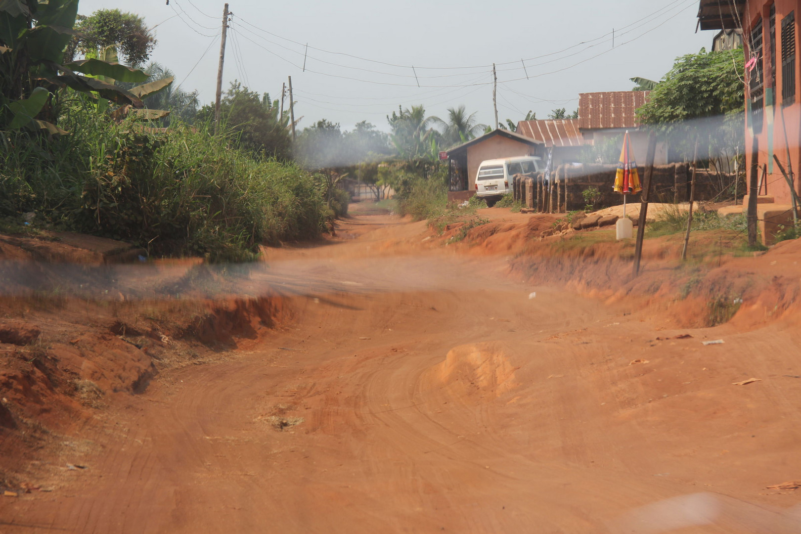 Nigeria / next to Benin City in the bushes