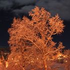 Night at kvalvog in Norway