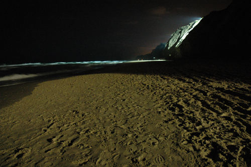 Night at the beach