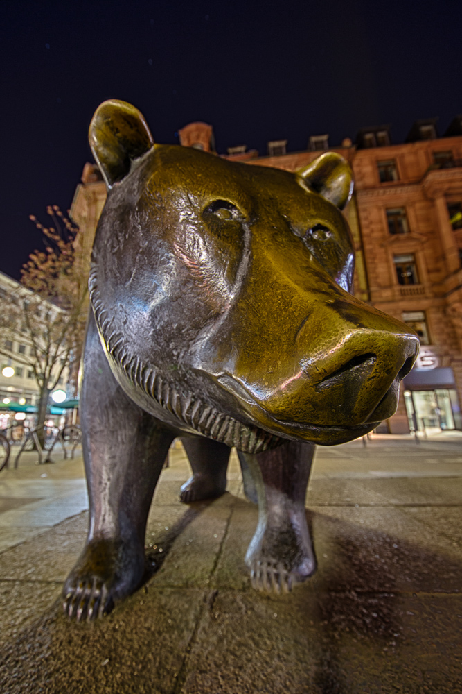 Night bear Foto & Bild bearbeitungs techniken, hdri & tm, nacht