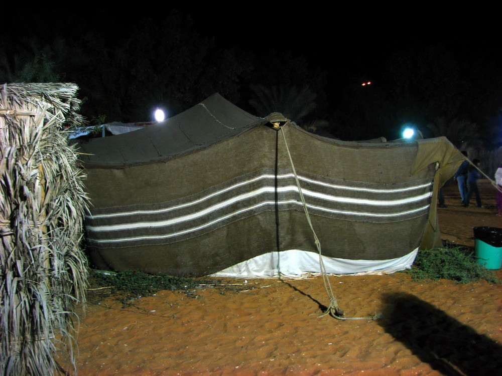 Night Camp