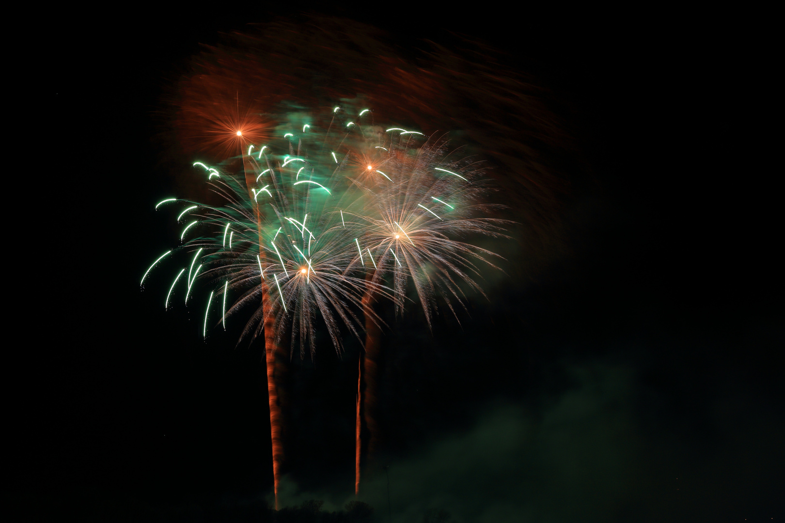 Night Flowers - Rhein in Flammen 2016, Bonn