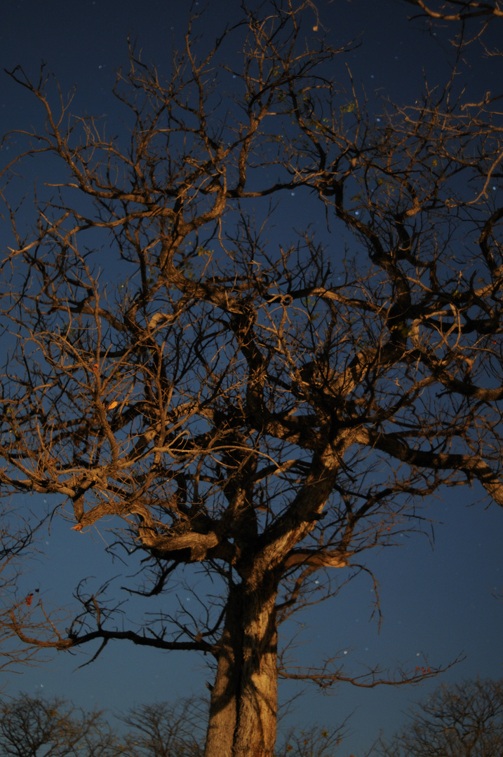 Night in Namibia