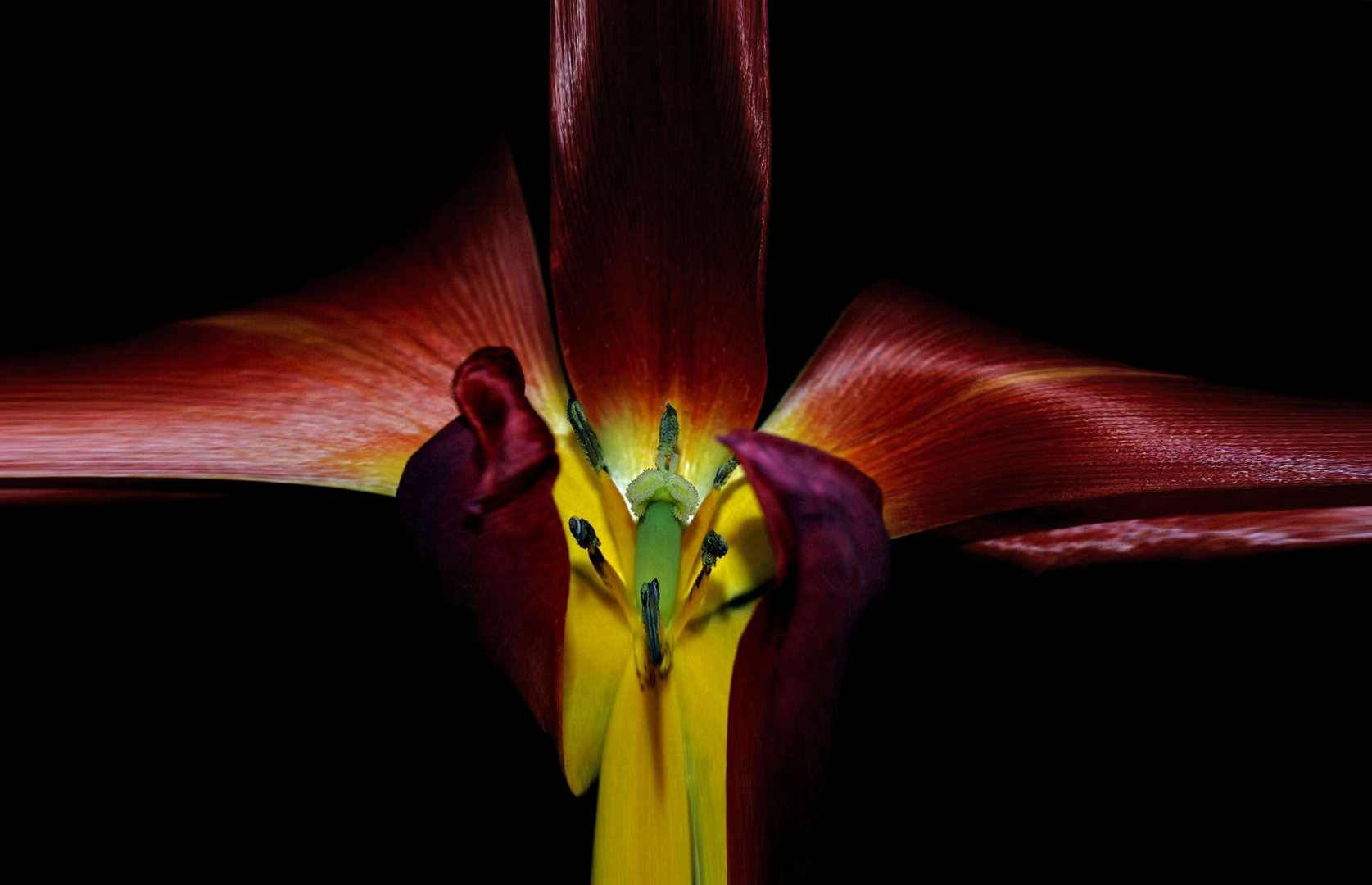 Night in red Satin