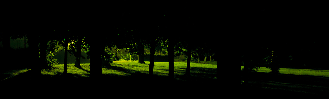 Night in the park