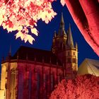 Night of Light - Dom "St. Marien" Erfurt