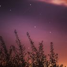 Night of Perseids- Shooting Star