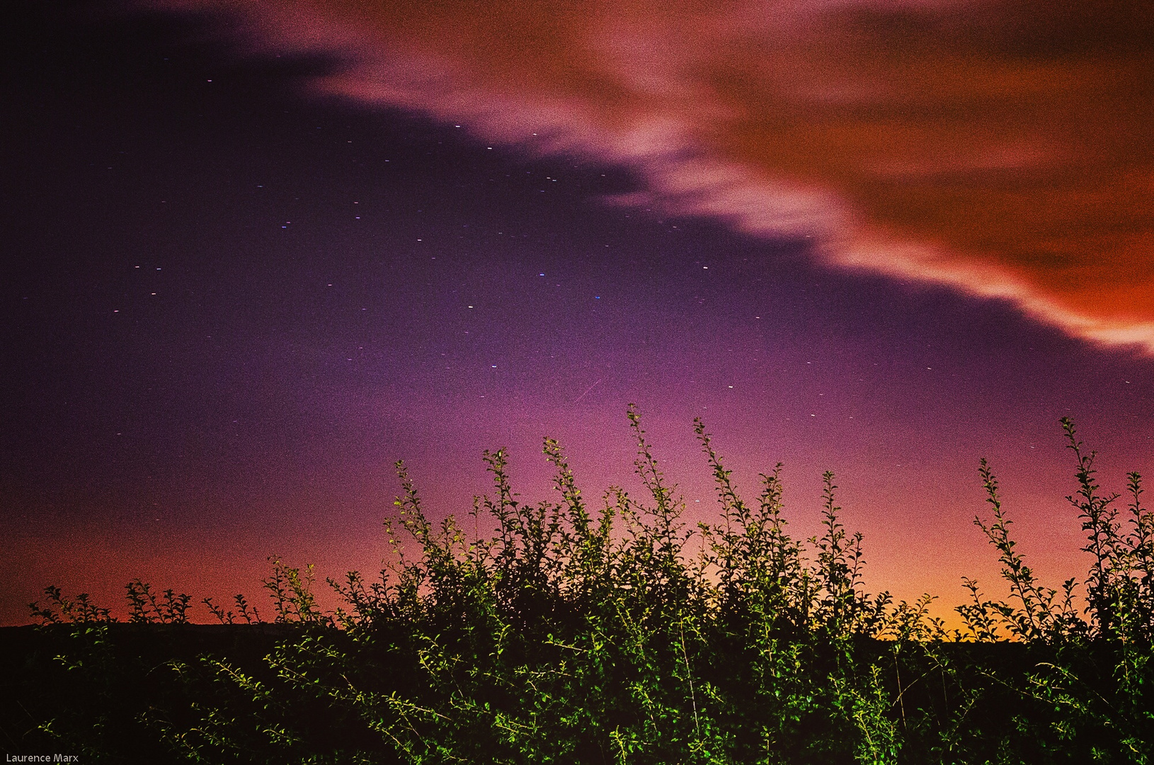 Night of Perseids- Stars