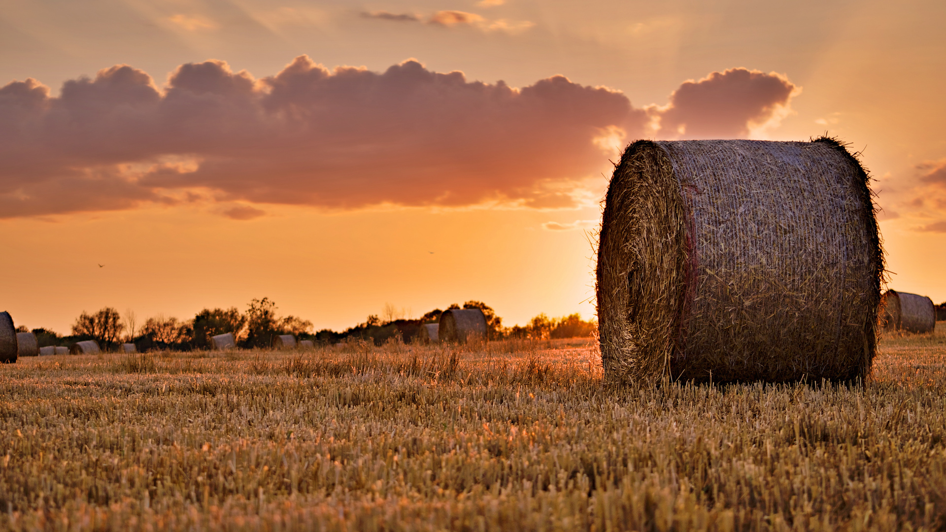 Night of the straw bale