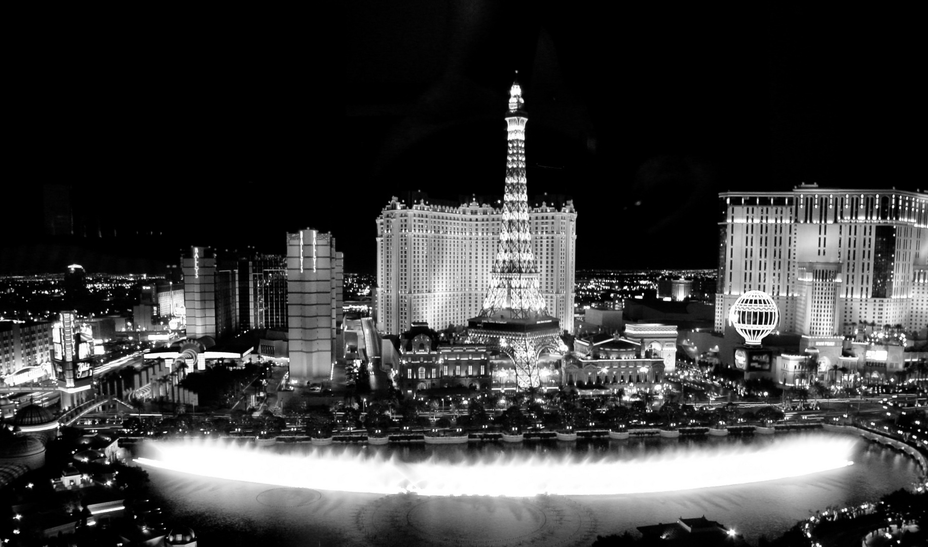 Night of Vegas