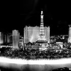 Night of Vegas