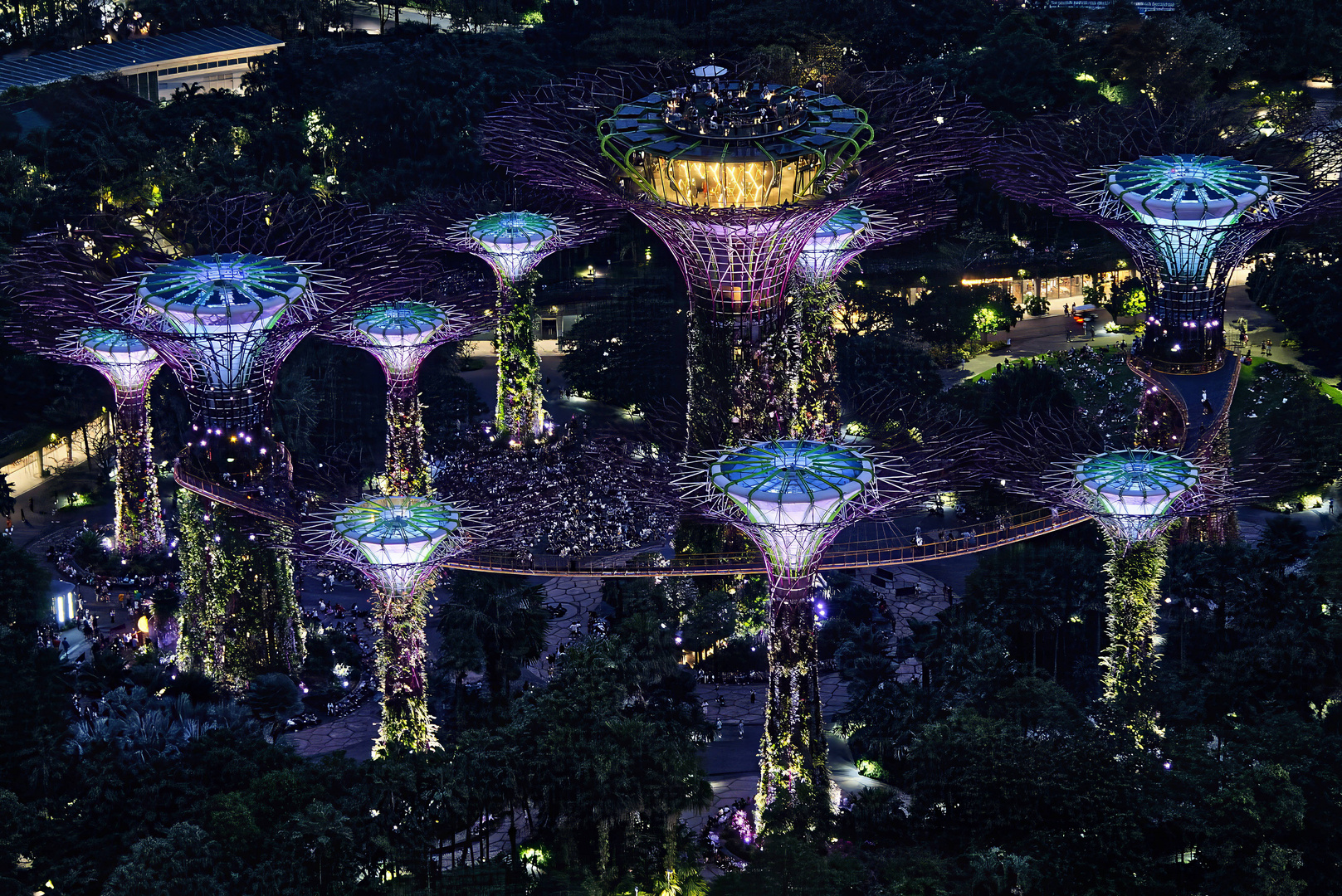 Night over the gardens by the bay