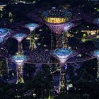 Night over the gardens by the bay