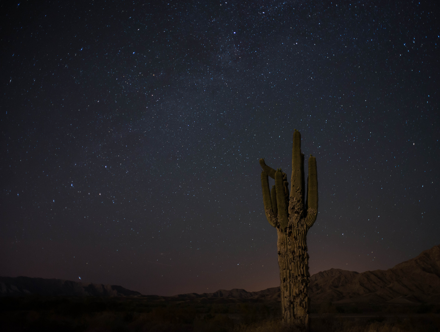 Night Sky in the Desert