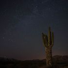 Night Sky in the Desert