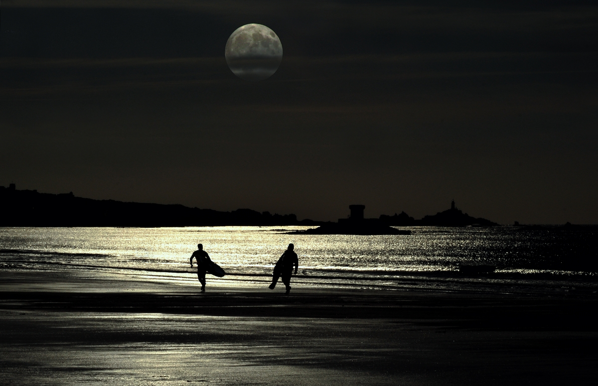 NIGHT SURFERS