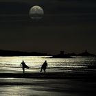 NIGHT SURFERS