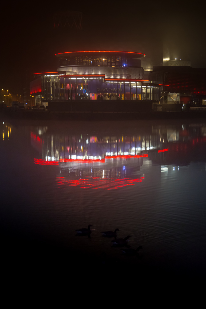 Night Swim