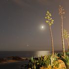 night view, sea, moon and stars in La Réunion