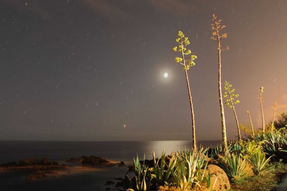 night view, sea, moon and stars in La Réunion