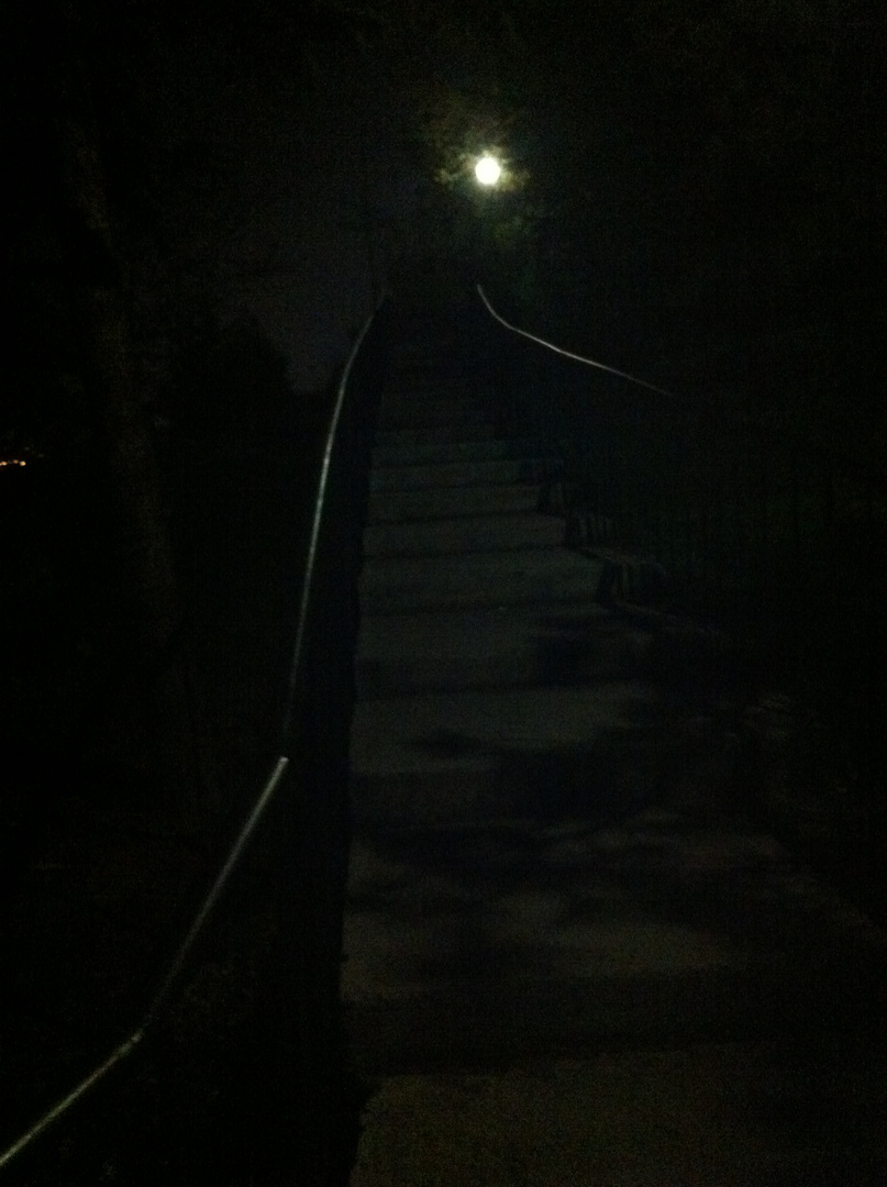 night walk...1
