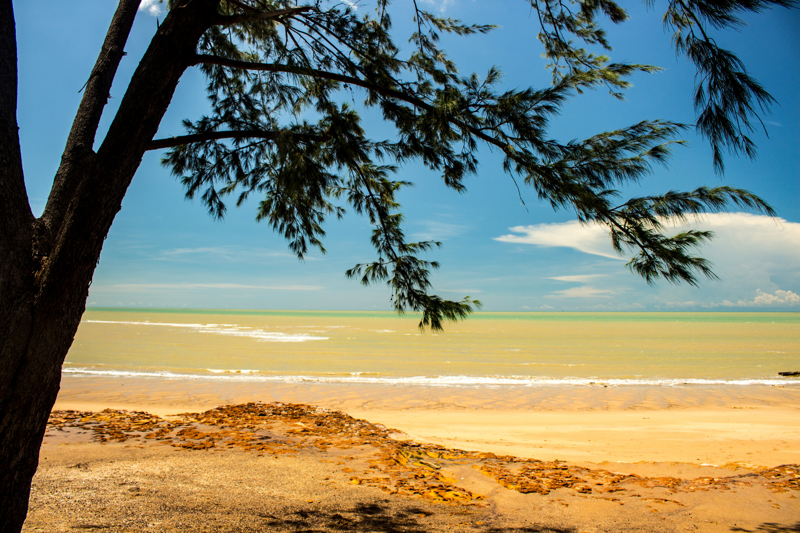 Nightcliff Beach