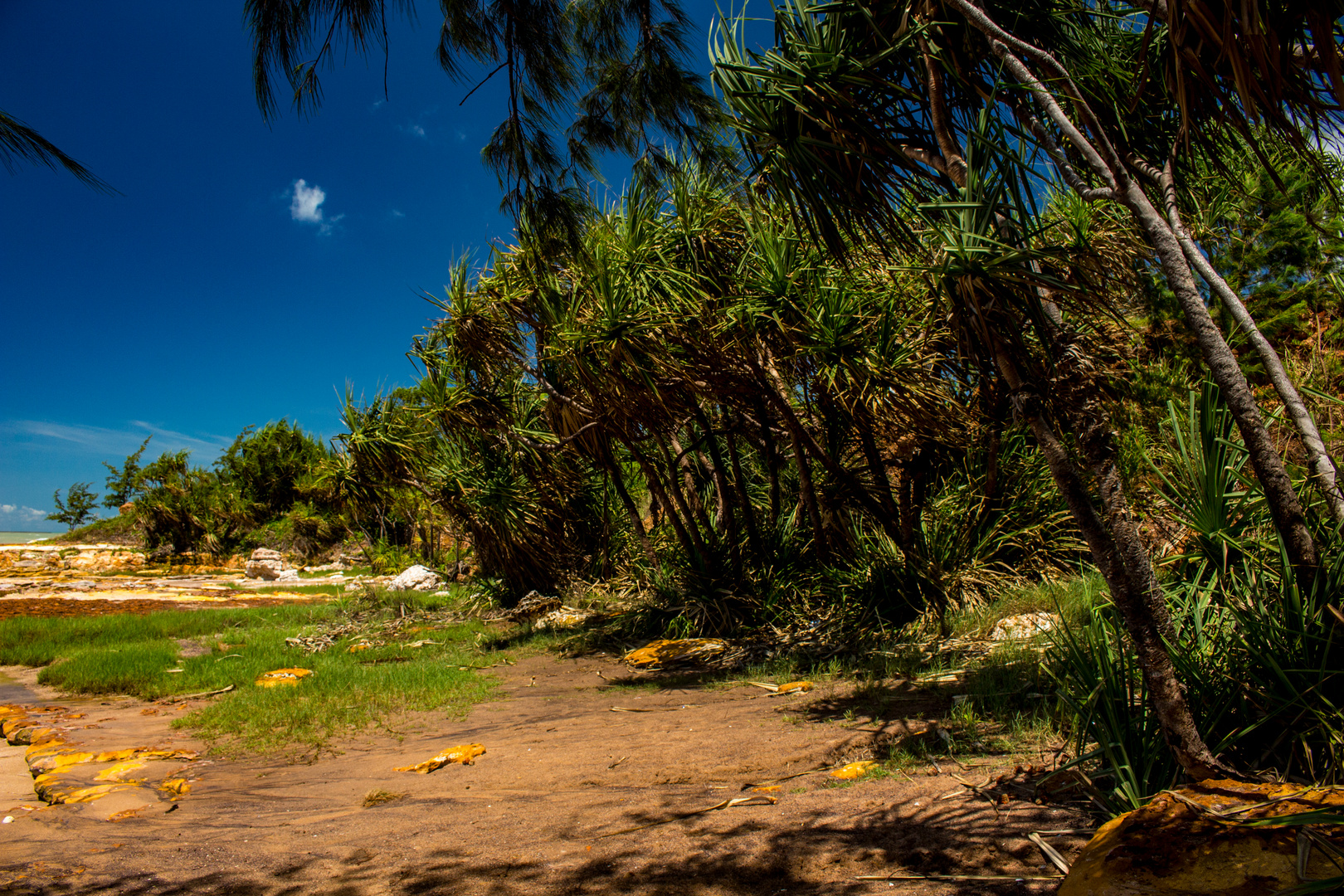 Nightcliff Beach II