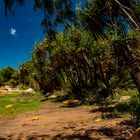 Nightcliff Beach II