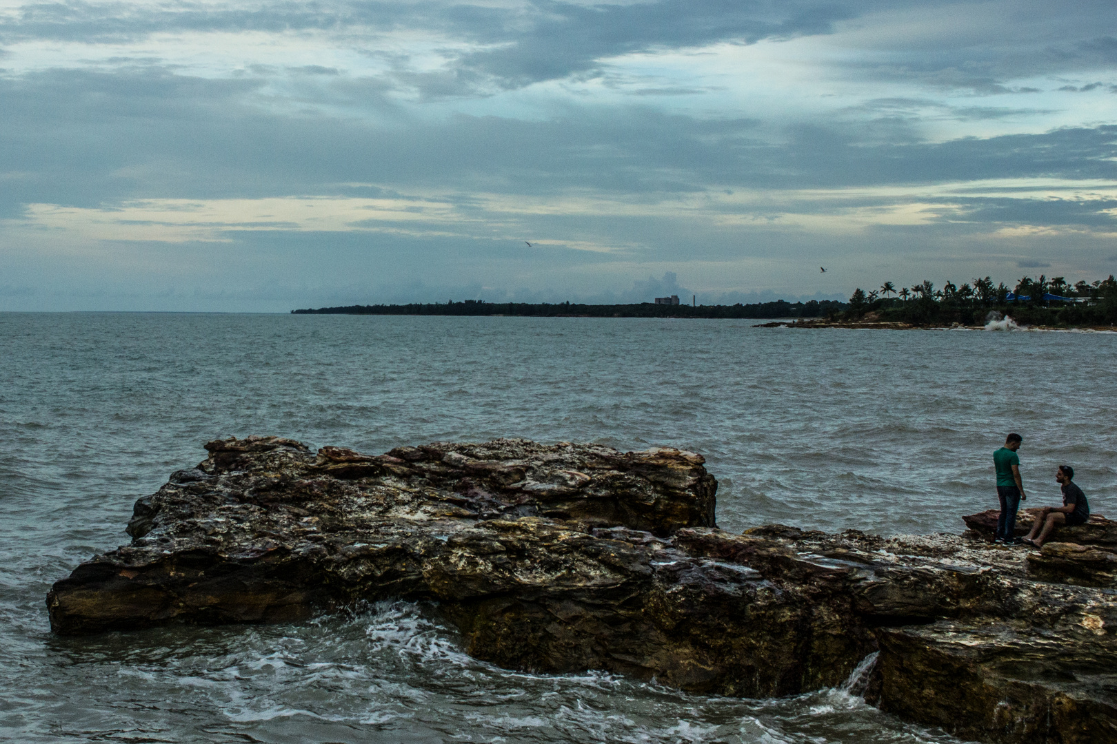 Nightcliff Shore