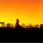 * Nightfall over Rural Queensland *