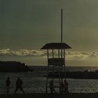 Nightime on the beech